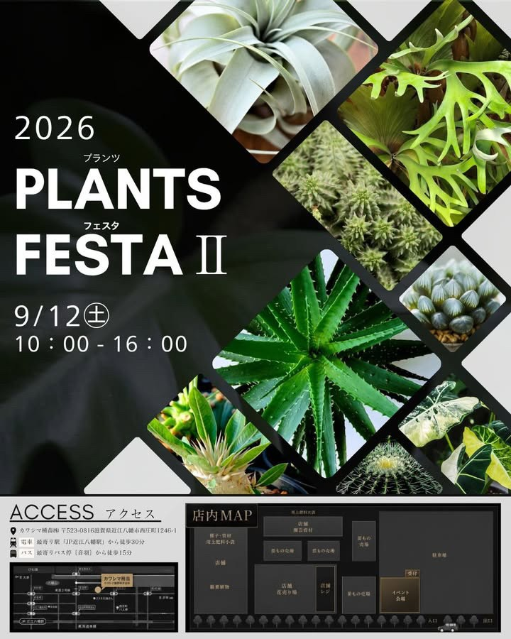 カワシマ種苗がプランツフェスタ2026を開催、16組の生産者が9月12日に出展