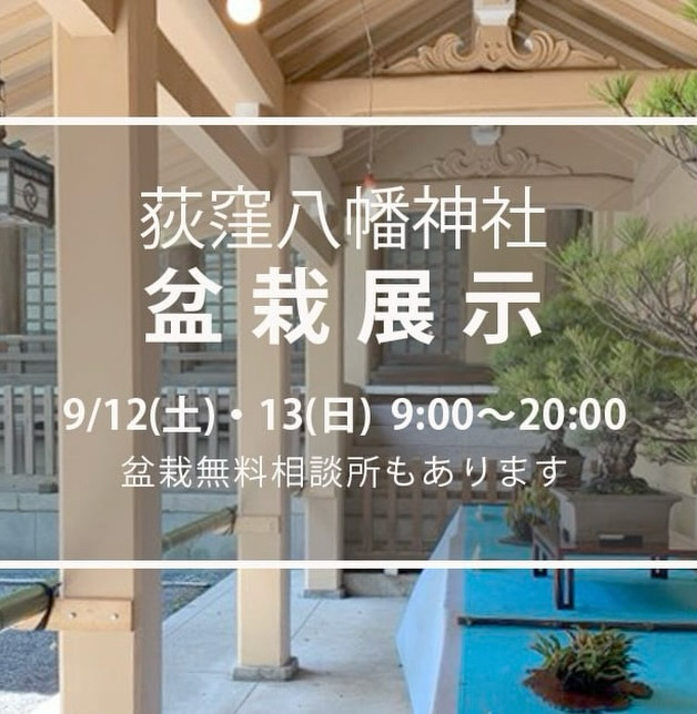 荻窪八幡神社盆栽展2026が本殿回廊で開催、盆栽展示と無料相談所を9月12日と13日に実施