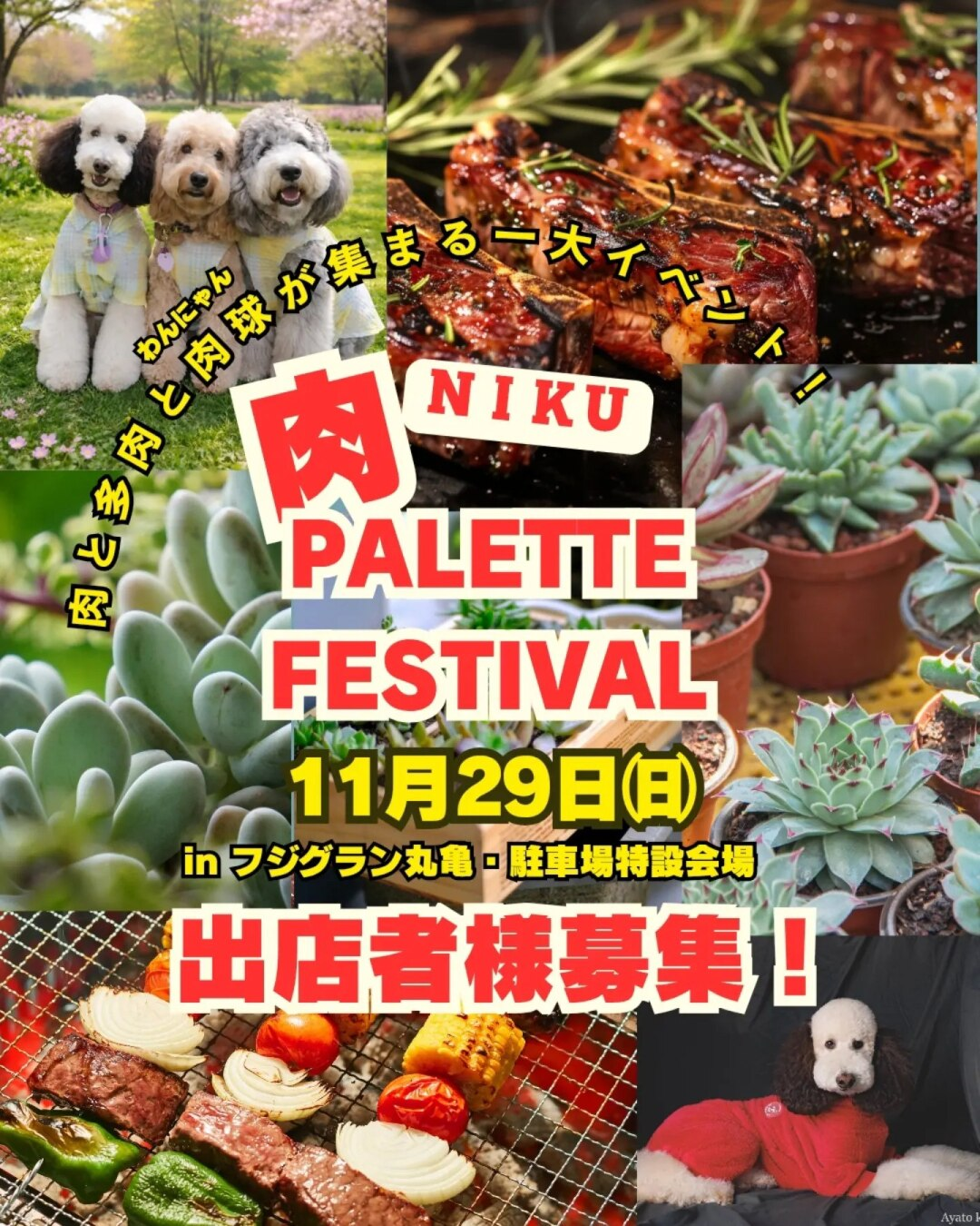 肉nikuPALETTEFESTIVAL2026が11月29日に開催、肉料理と多肉植物と肉球関連店舗を募集