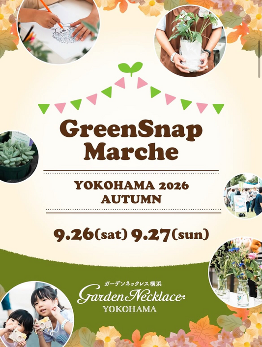 GreenSnapMarcheYOKOHAMA2026AUTUMNを山下公園で開催、BuddyPlantsがエアプランツを両日出店