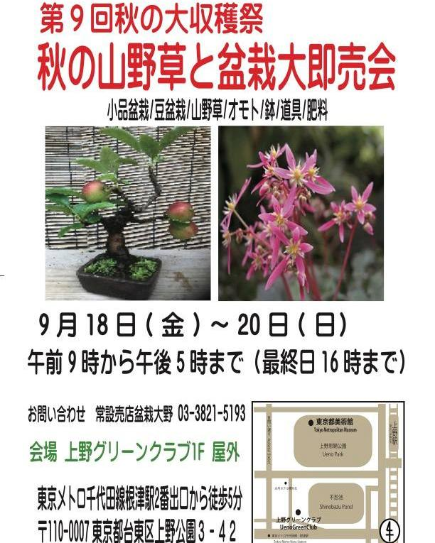 上野グリーンクラブが第9回秋の大収穫祭2026を開催、山野草や小品盆栽などを3日間展示即売