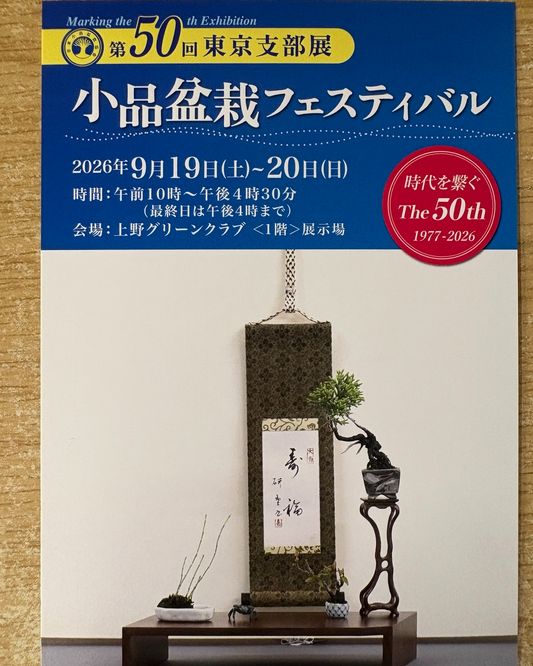上野グリーンクラブで第50回東京支部展小品盆栽フェスティバル2026を開催、小品盆栽の席飾りを展示
