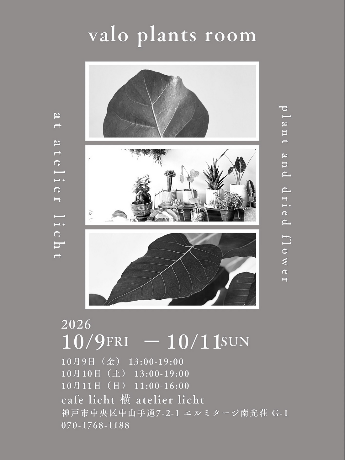 valo plants room2026を神戸で開催、植物や鉢の販売と植え替えや植物相談を実施