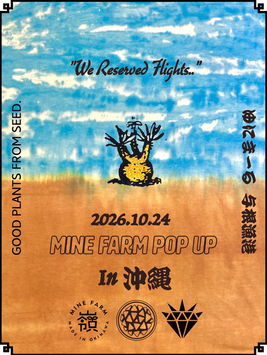 MINE FARM POP UP In 沖縄2026を開催、実生多肉植物やサボテンと限定植木鉢を販売