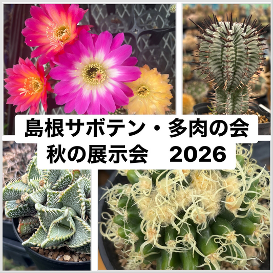 島根サボテン・多肉の会が2026秋の展示会を開催、しまね花の郷でサボテンと多肉植物を展示販売予定