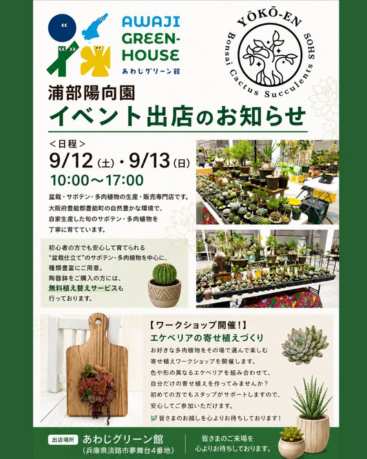 浦部陽向園が販売会と寄せ植えワークショップ2026を開催、淡路島初出店で陶器鉢の植え替えサービスも実施