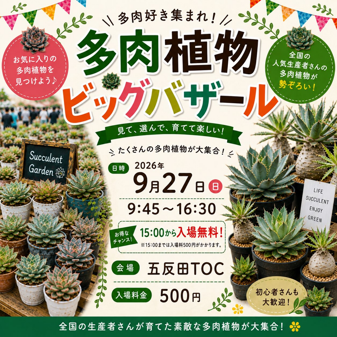 国際多肉植物協会が9月のサボテン・多肉植物ビッグバザール2026を開催、五反田TOCに多数の出店者が参加予定
