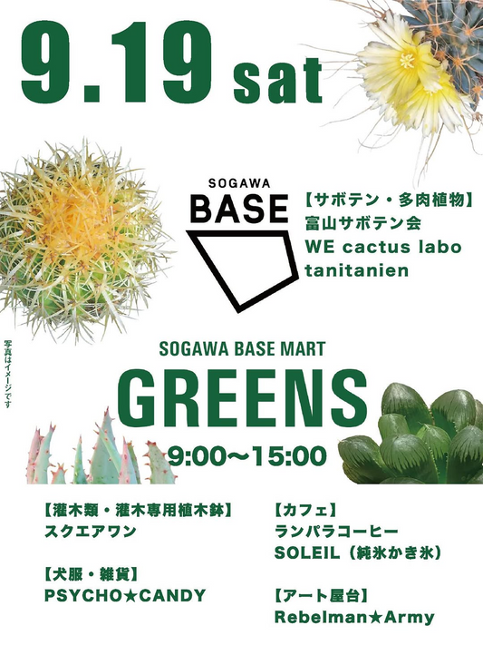 富山サボテン会がSOGAWA BASE MART GREENS 2026を開催、サボテンや灌木類と飲食などが総曲輪に集結