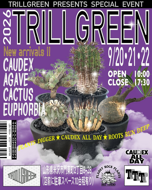 TRILLGREENがSPECIAL EVENT 2026を開催、CAUDEXやAGAVEの新着株を3日間販売予定