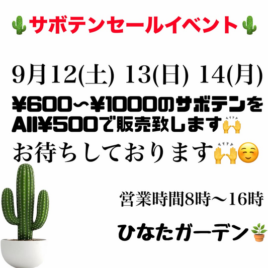 ひなたガーデンがサボテンセールイベント2026を開催、600円から1000円の商品をAll500円で販売
