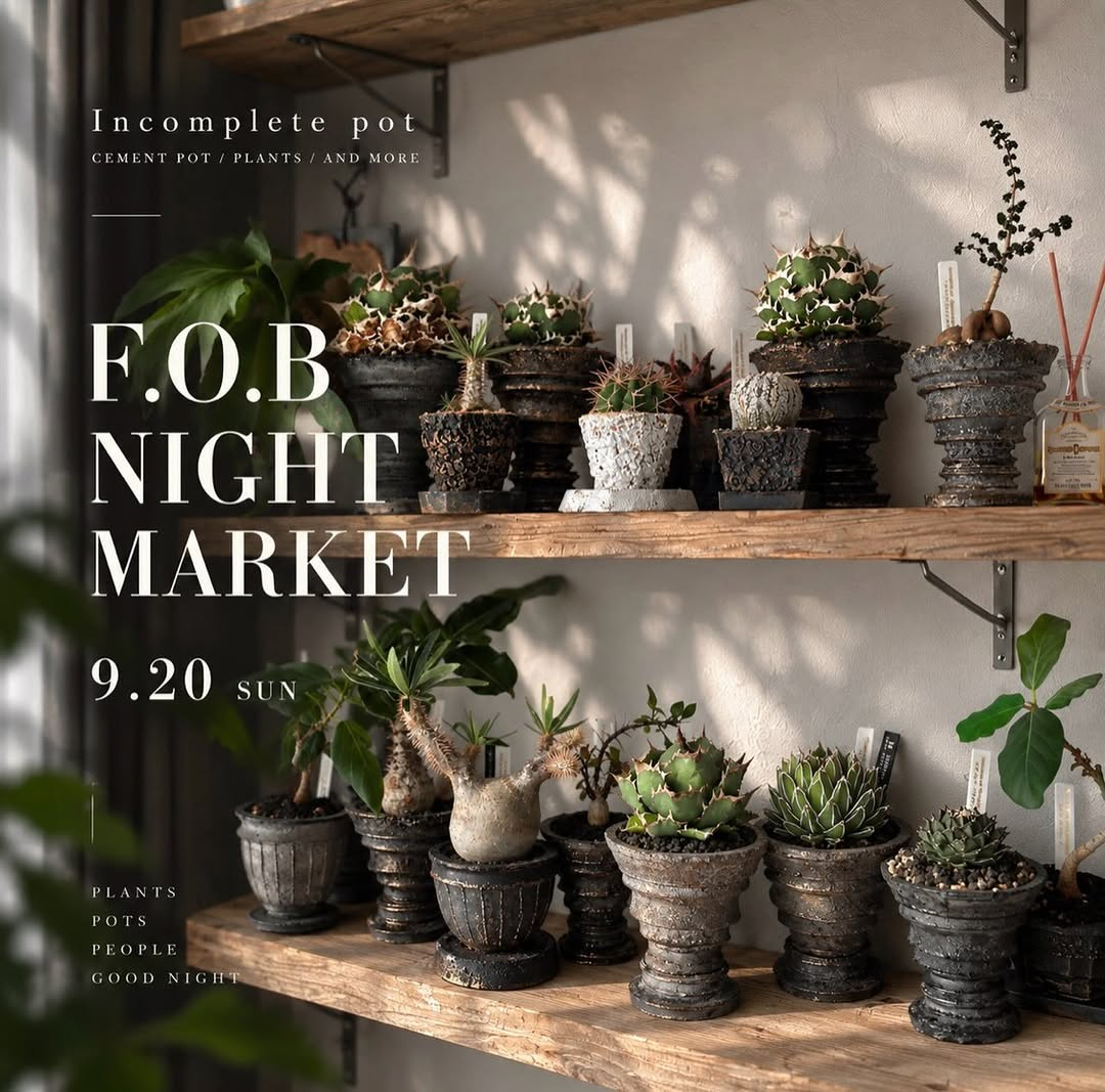F.O.B NIGHT MARKET 2026が9月20日に開催、Incomplete potがセメント鉢や植物を初出店
