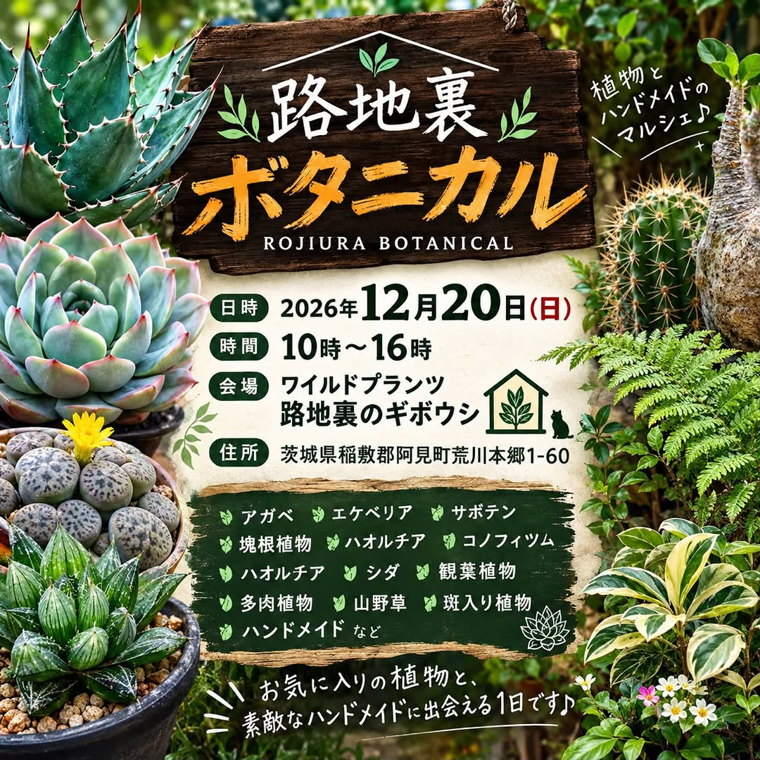 路地裏ボタニカル2026が12月20日に開催、アガベや塊根植物とハンドメイドを扱うマルシェ
