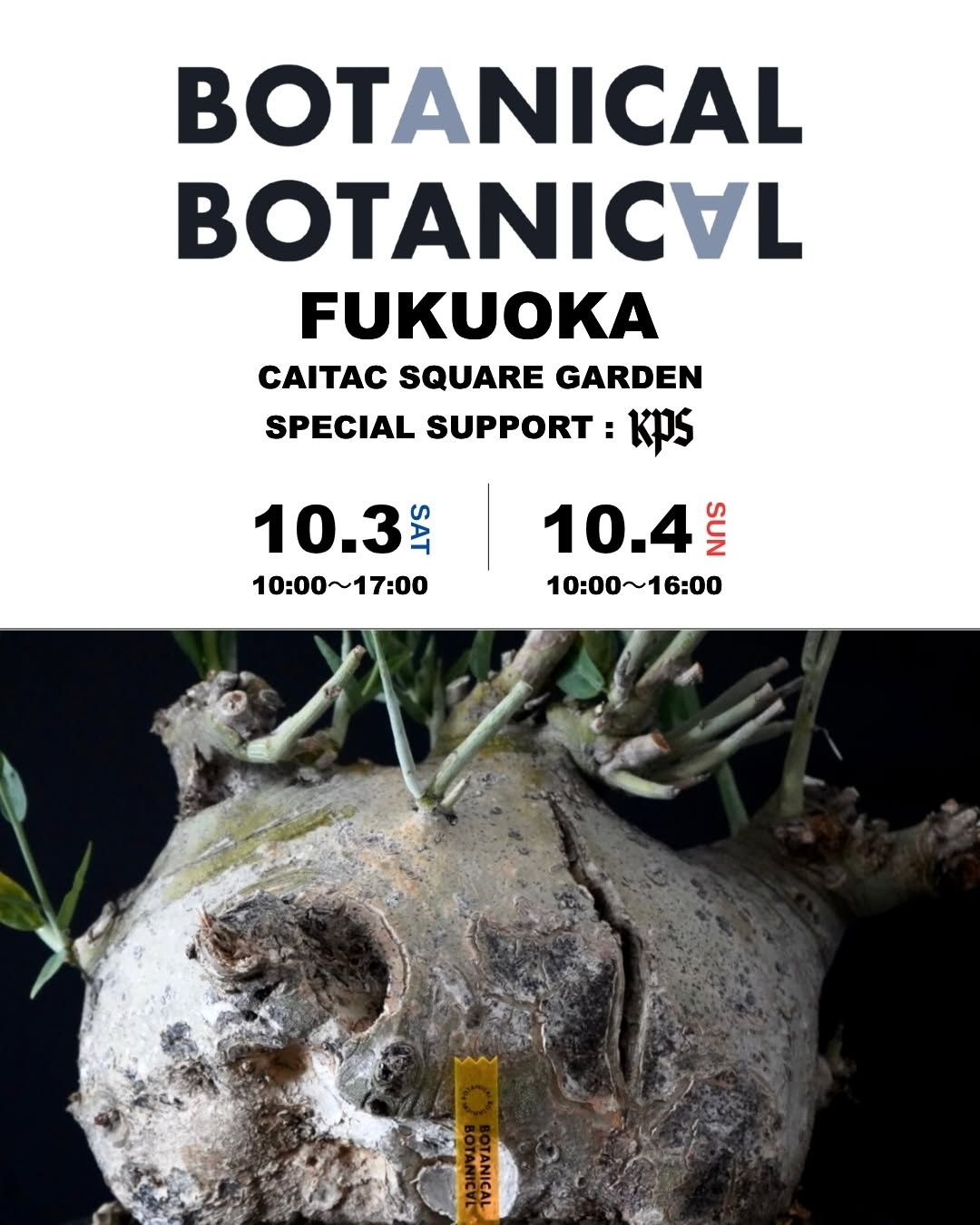 BOTANICAL BOTANICAL FUKUOKA 2026を福岡で開催、全国から植物や数量限定の作家鉢が集結