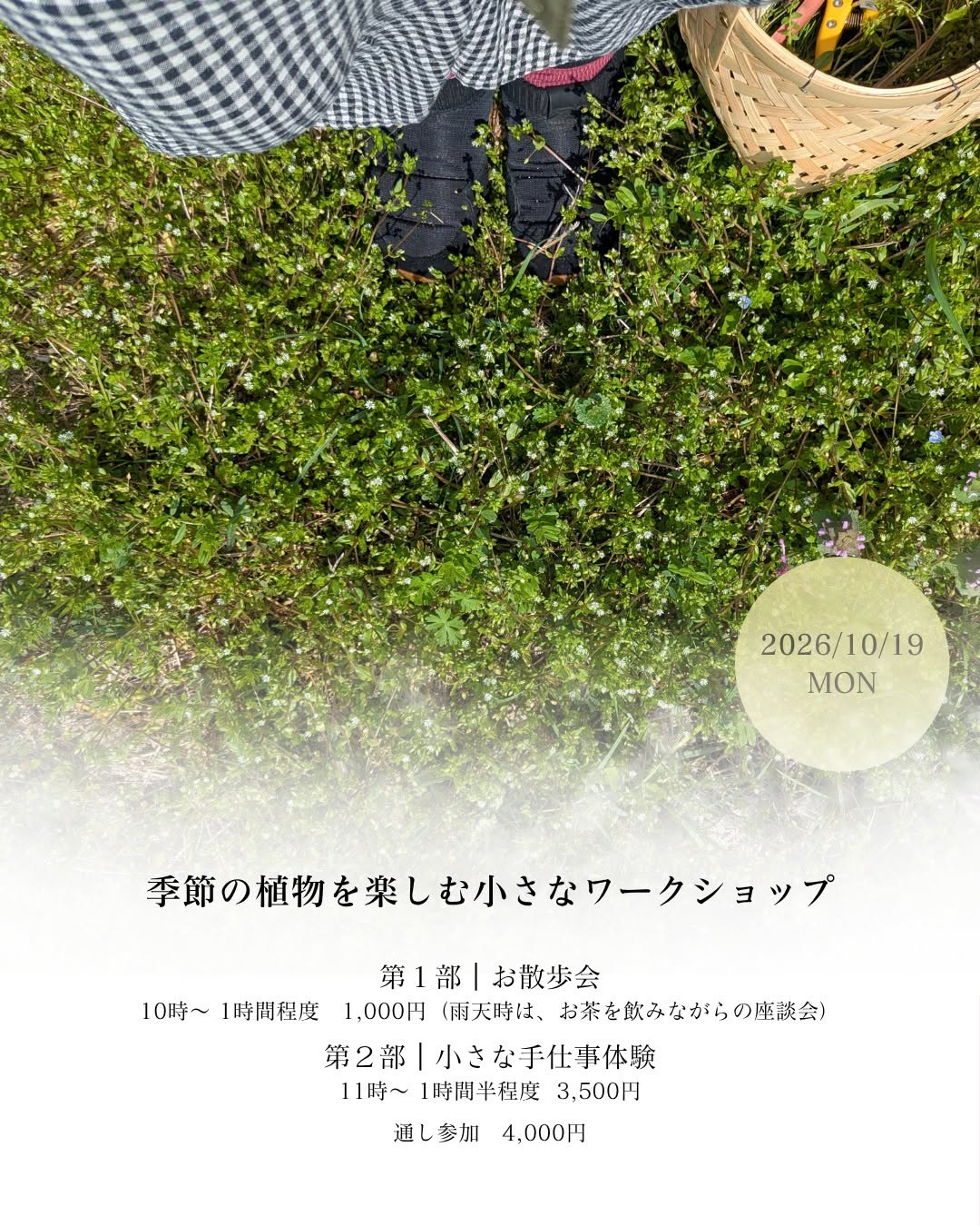 季節の植物を楽しむ小さなワークショップ2026が10月19日に開催、お散歩会と季節の植物を使った手仕事体験を実施