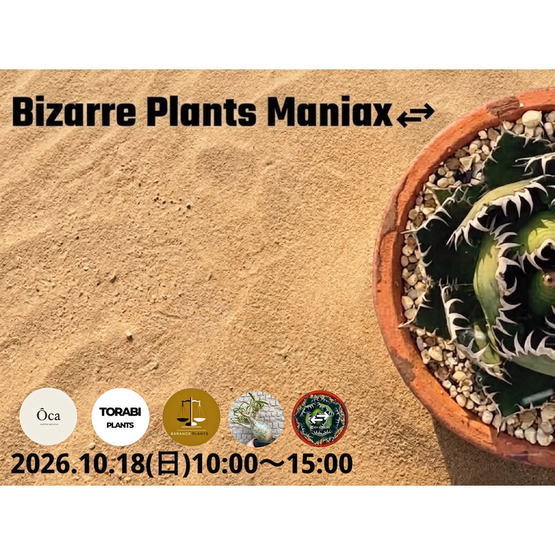 Bizarre Plants Maniax⇄2026を白木屋種苗で開催、多肉植物やアガベなど珍奇植物を販売