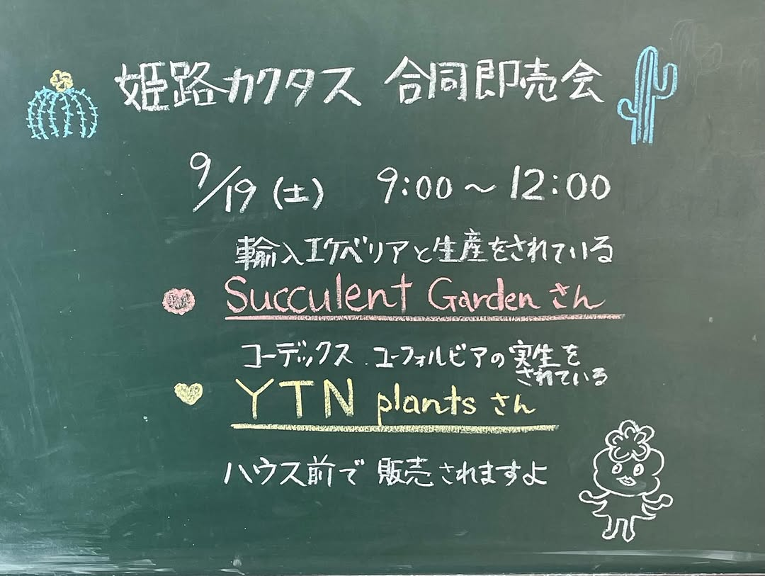 姫路カクタスが合同即売会2026を開催、実生苗と輸入エケベリアを9月19日に販売