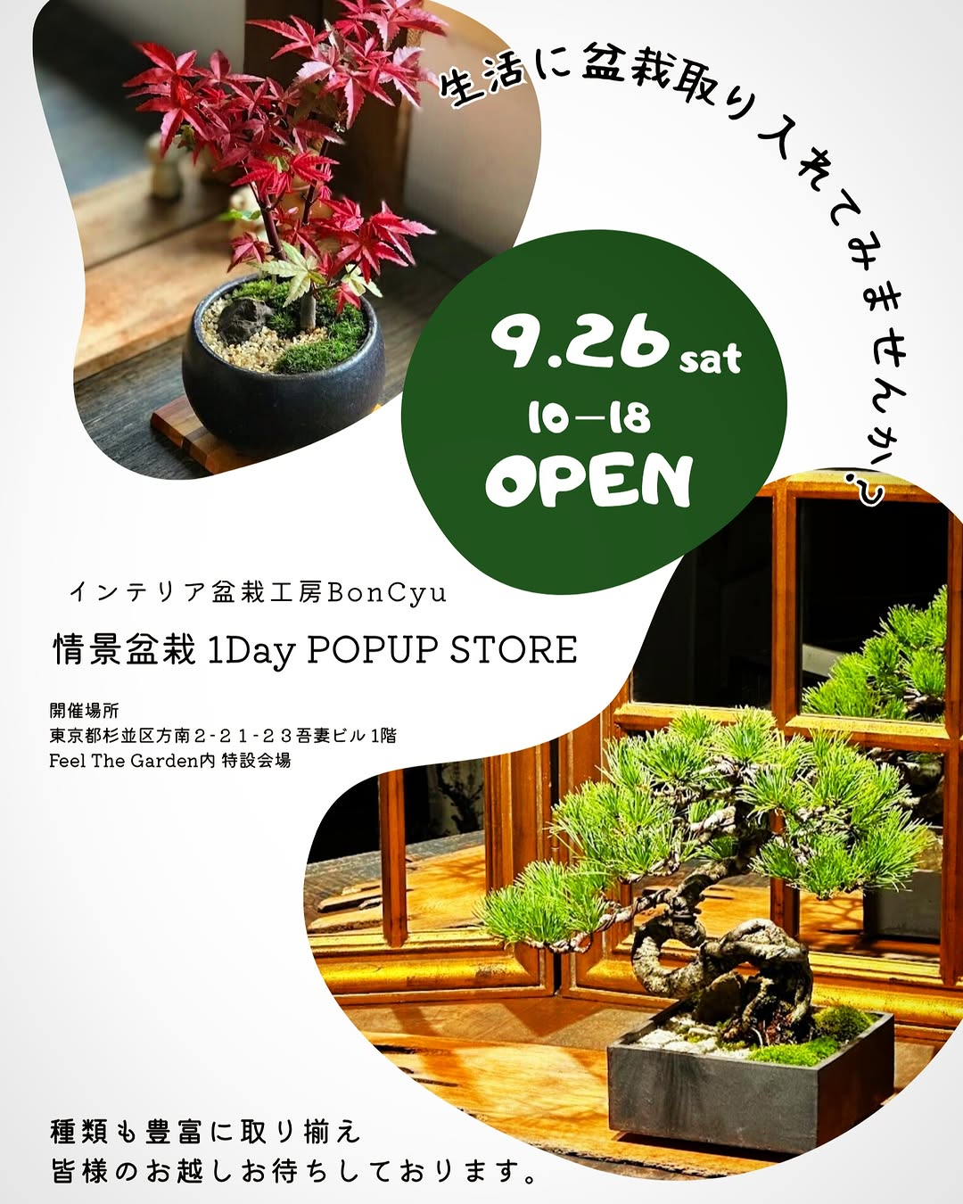 インテリア盆栽工房BonCyuが情景盆栽1Day POPUP STORE 2026を開催、販売とメンテナンスを方南町で実施