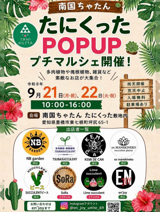 たにくった POPUP プチマルシェ2026を豊橋市で開催、多肉植物や塊根植物など8組が出店