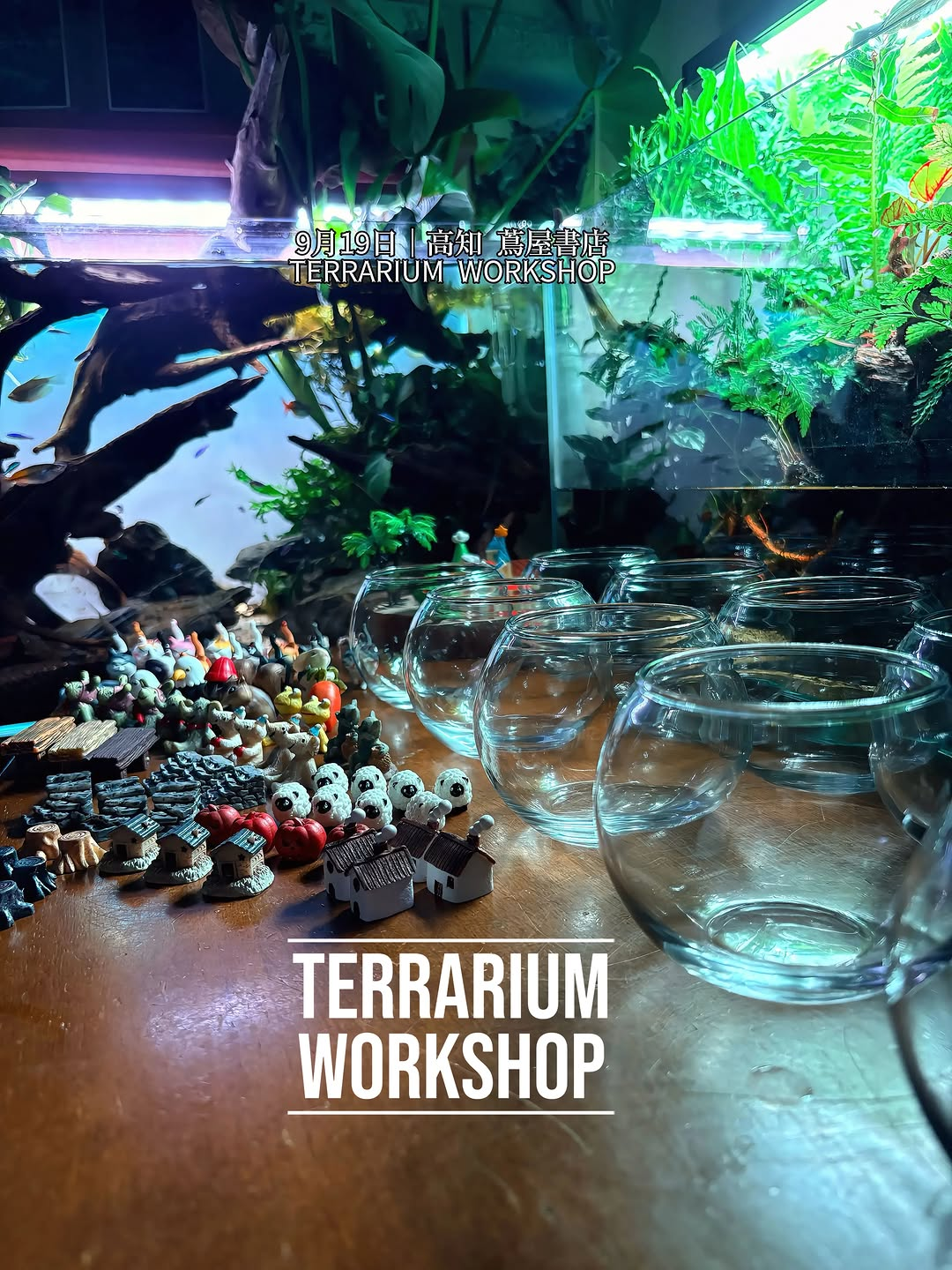 高知蔦屋書店でTERRARIUM WORKSHOP2026を開催、各回2名で植物とフィギュアを使った作品を制作