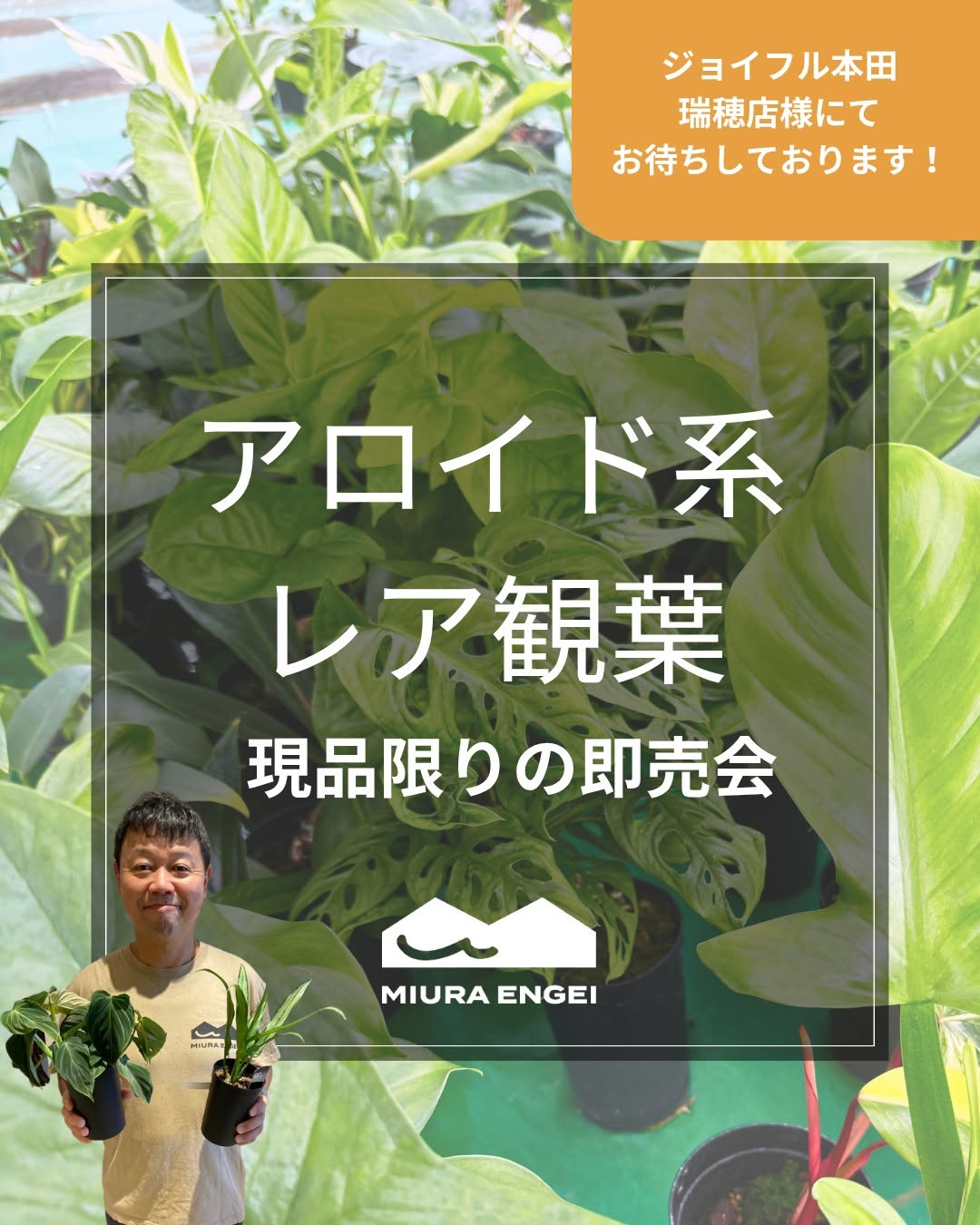 植フェス GLOBAL PLANTS MARKET2026をジョイフル本田瑞穂店で開催、三浦園芸がアロイド植物などを出品予定