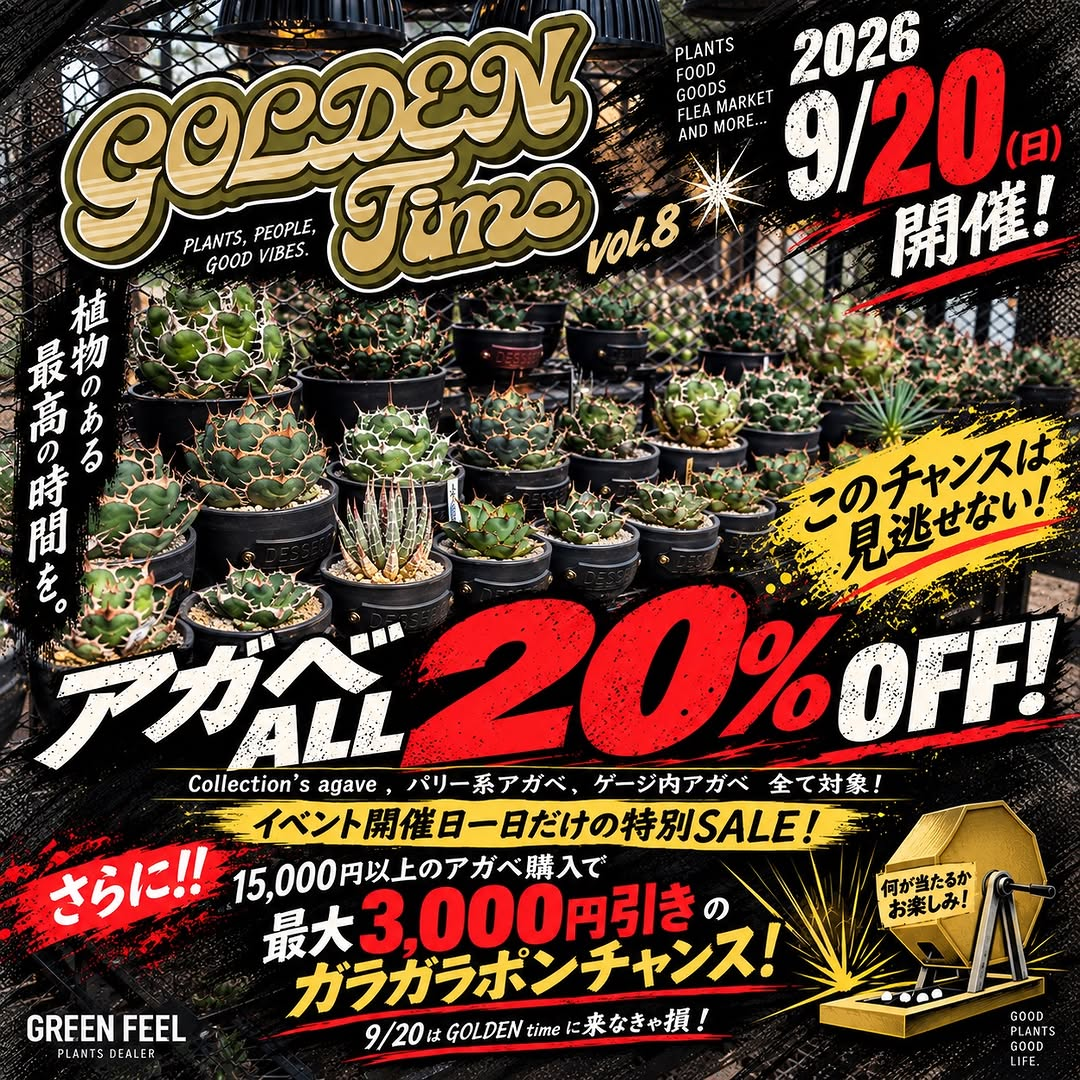 GREEN FEELがGOLDEN TIME vol.8を2026年9月20日に開催、アガベALL20%OFFの特別SALEも実施