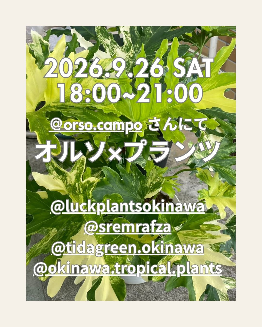 オルソ×プランツ2026を串焼きバルOrso Campoで開催、4つの植物アカウントが夜のイベントに出店