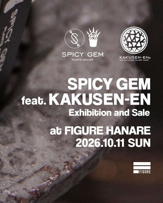 SPICY GEM feat. KAKUSEN-EN 2026がFIGURE HANAREで開催、鶴仙園と植物やグッズを販売