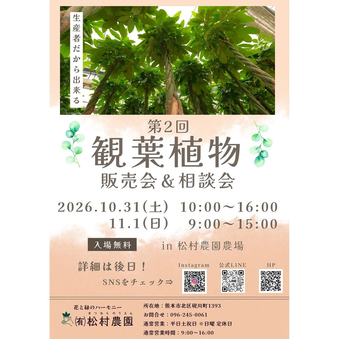 松村農園が第2回観葉植物販売会＆相談会2026を開催、定番植物と少し珍しいレア品種を取り扱い