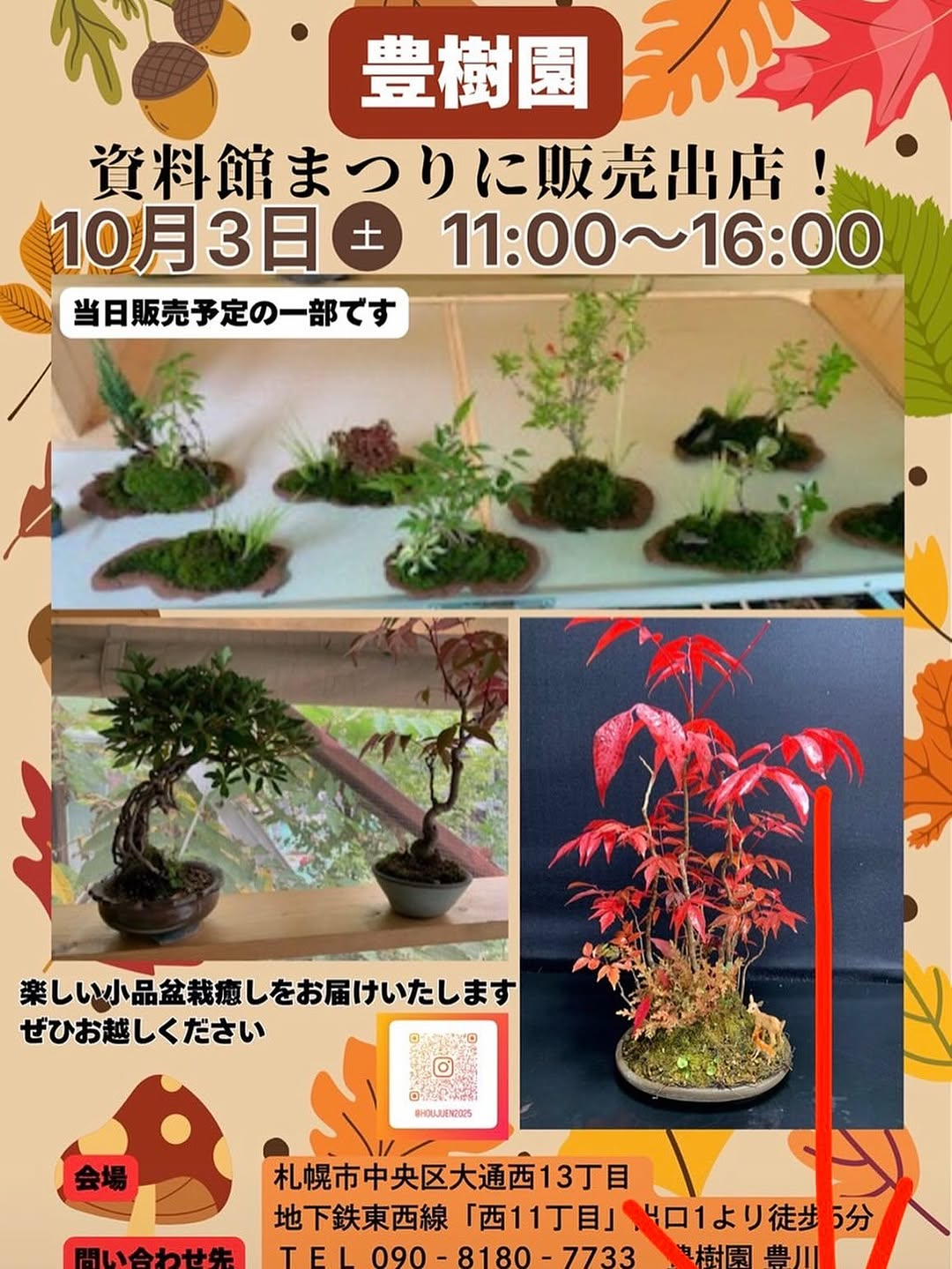 札幌市資料館が創建100周年記念資料館まつり2026を開催、豊樹園のミニ盆栽販売や同時開催企画を実施