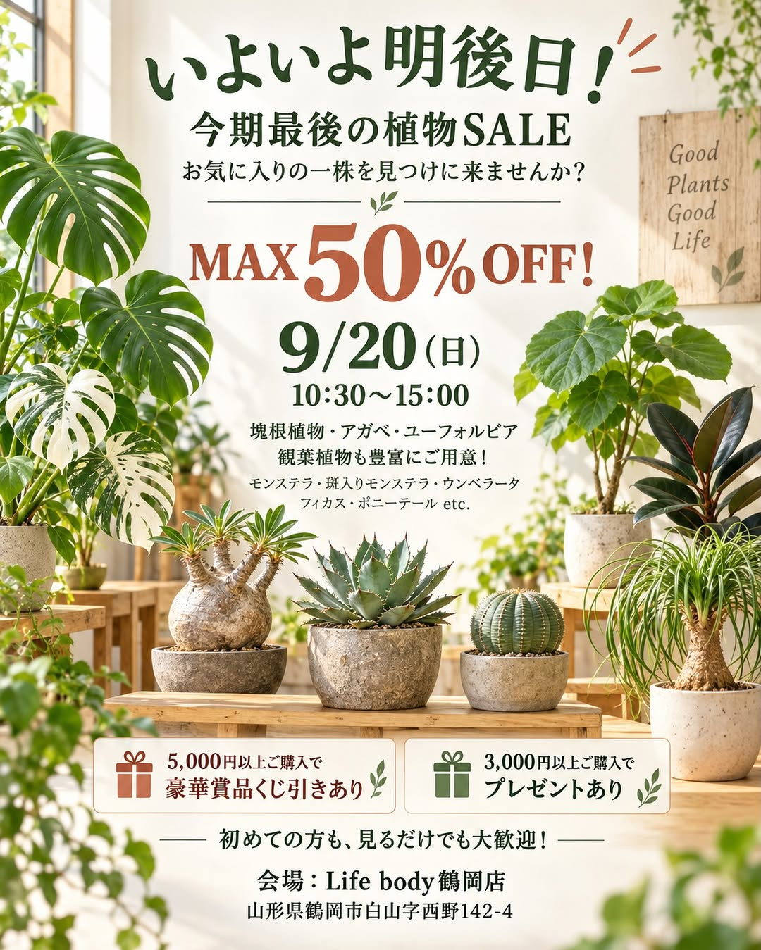 Life body鶴岡店が今期最後の植物SALE2026を開催、塊根植物やアガベ