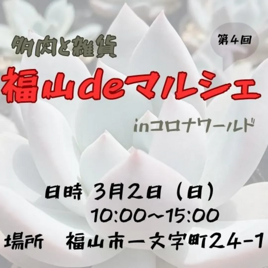 福山deマルシェ2025が3月に開催決定、36店舗の多肉植物専門店とキッチンカーが出店へ
