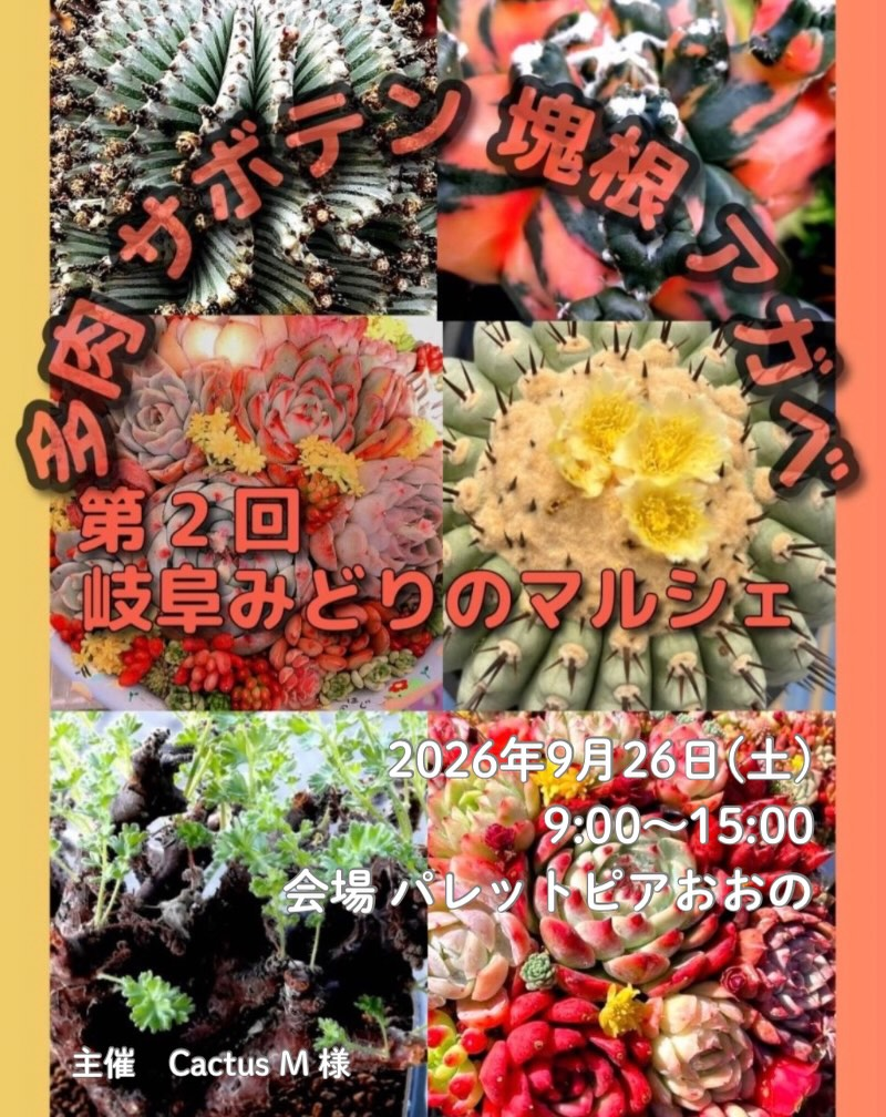 第2回岐阜みどりのマルシェ2026が9月26日に開催、多肉植物やサボテンをパレットピアおおので展開