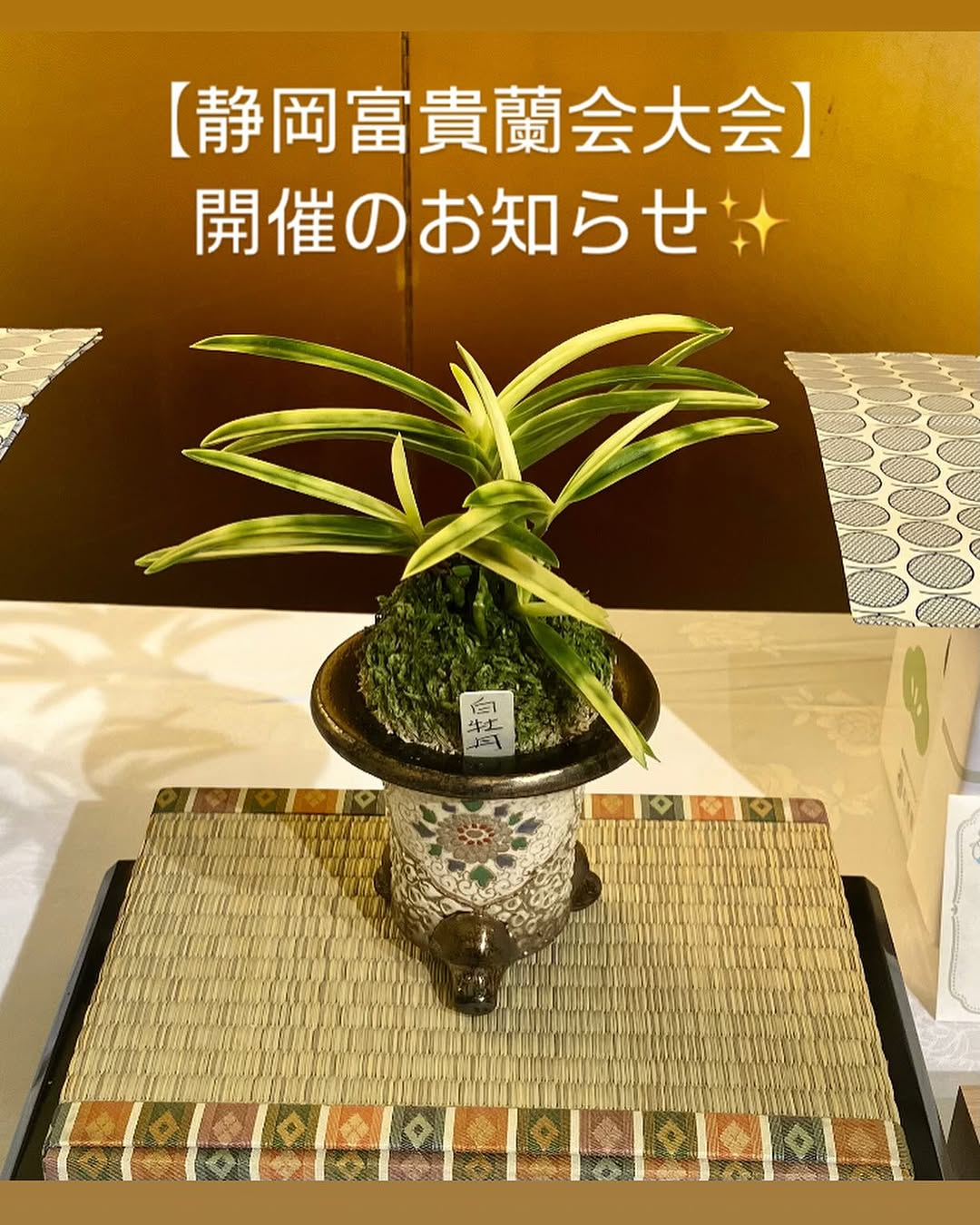 第41回静岡富貴蘭会美術品評大会2026を浜松で開催、富貴蘭の展示と即売ブースを実施