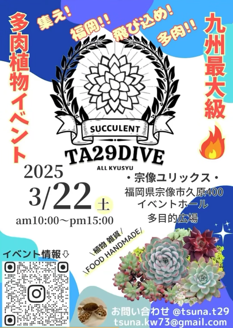 TA29DIVEが福岡で植物イベントを開催、多肉植物からエアープランツまで幅広い展示販売を実施へ