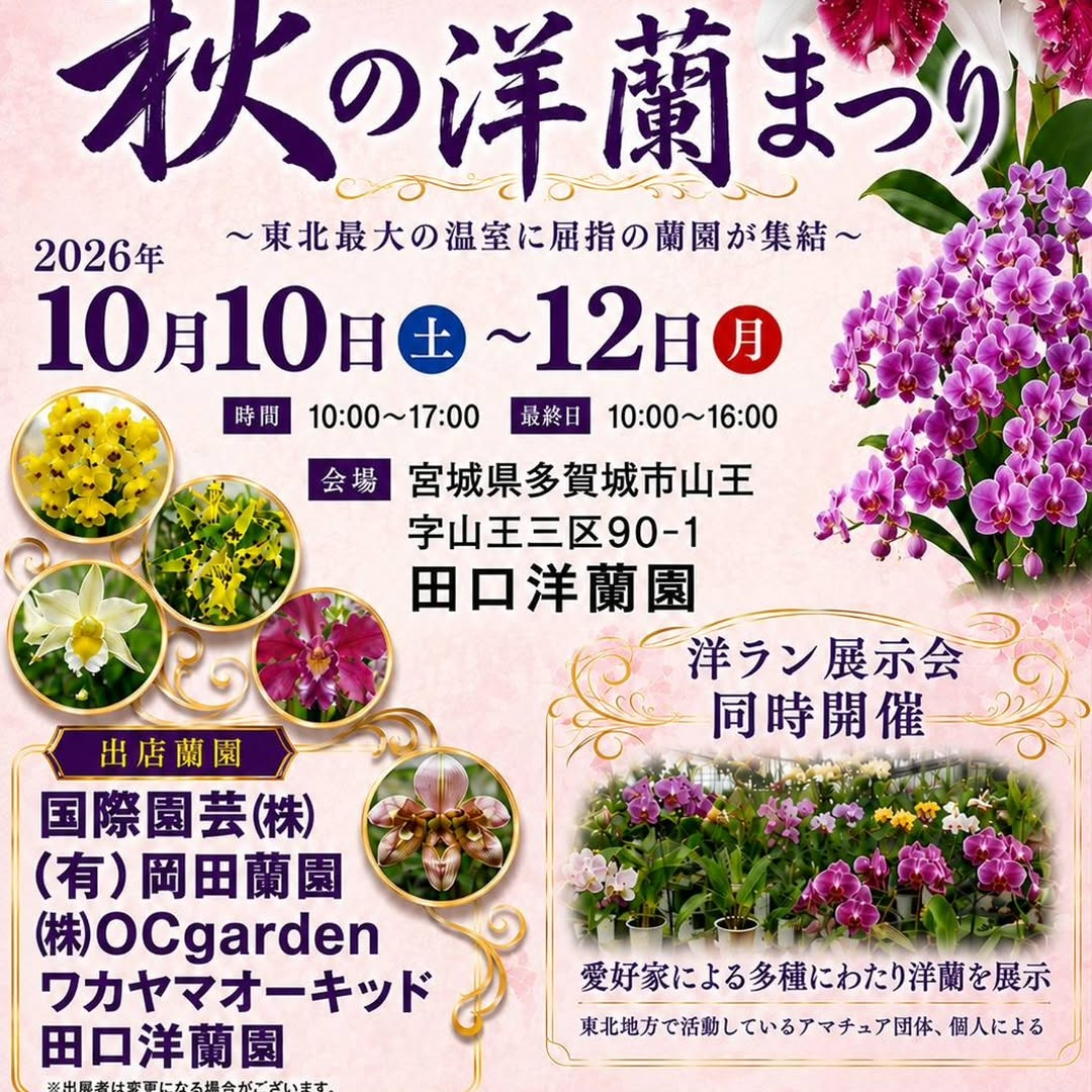 田口洋蘭園が秋の洋蘭まつり2026を開催、屈指の蘭園が集結し洋ラン展示会も同時開催