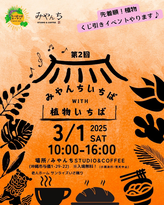 みやんちいちばが沖縄で植物販売イベントを開催、宮沢和史プロデュースの空間で珍しい植物を提供へ