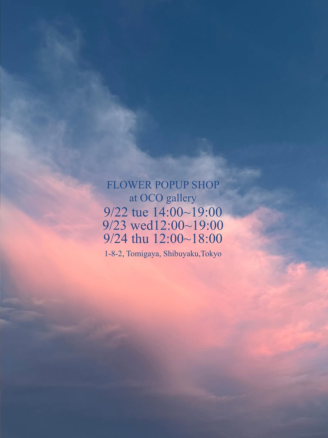 FLOWER POPUP SHOP 2026をOCO GALLERYで開催、秋の空をイメージした旬の花を一輪から販売
