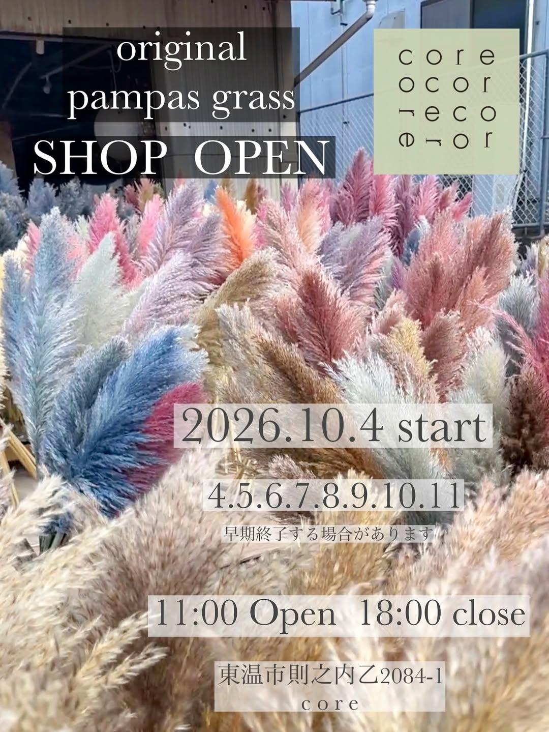 coreがoriginal pampas grass SHOP OPEN 2026を開催、オリジナルカラーパンパスグラスを店頭販売