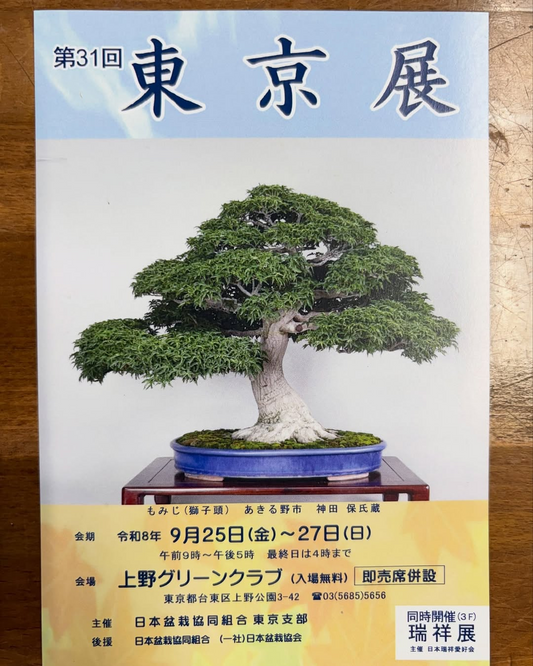 第31回東京展2026が上野グリーンクラブで開催、盆栽や水石を展示し第29回瑞祥展も同時開催