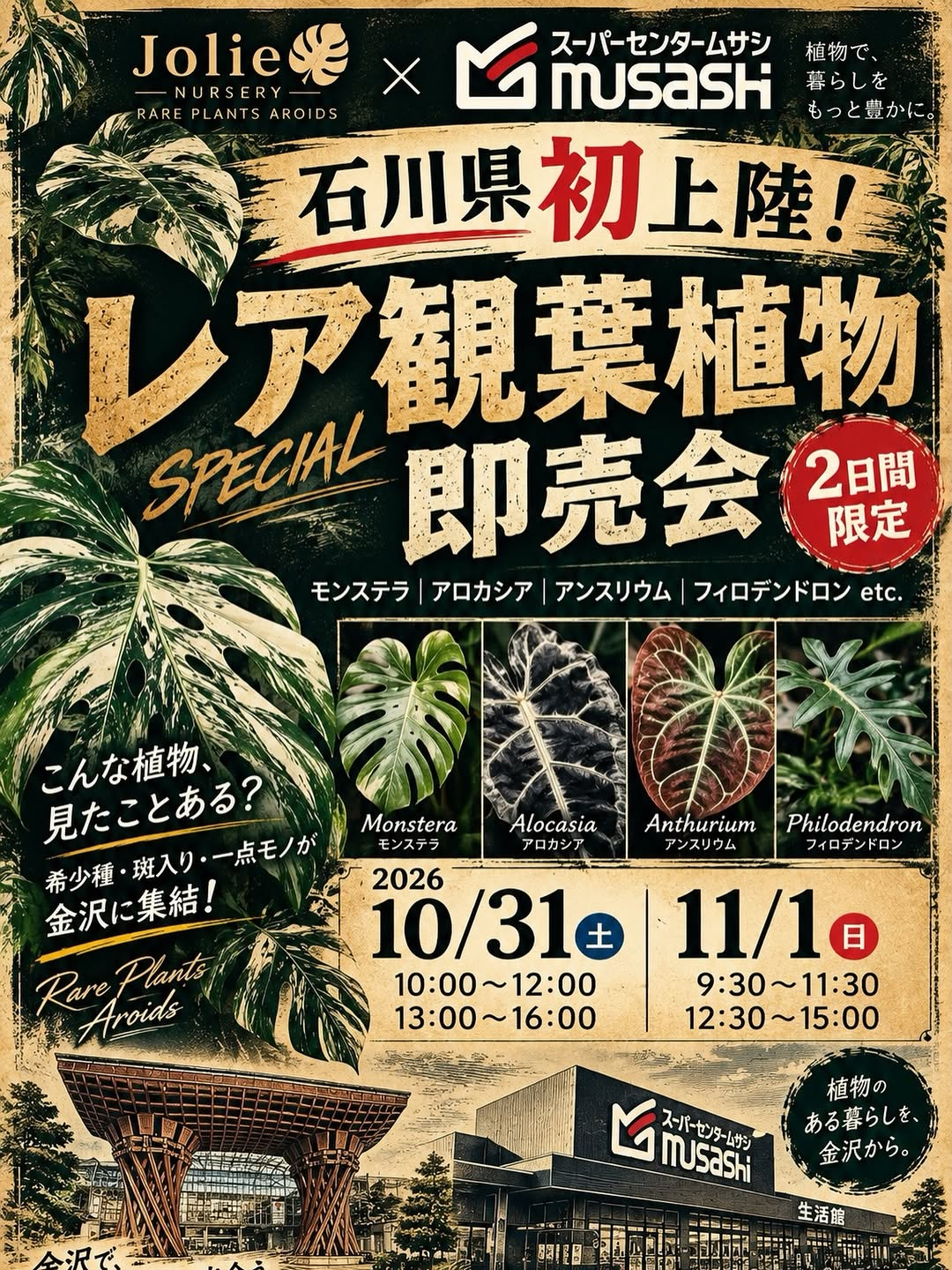Jolie Nurseryがレア観葉植物即売会2026を金沢で開催、希少種や斑入り植物が2日間集結