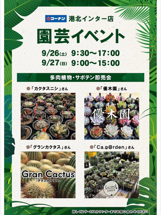 コーナン港北インター店が園芸イベント2026を開催、4組による多肉植物・サボテン即売会を2日間実施