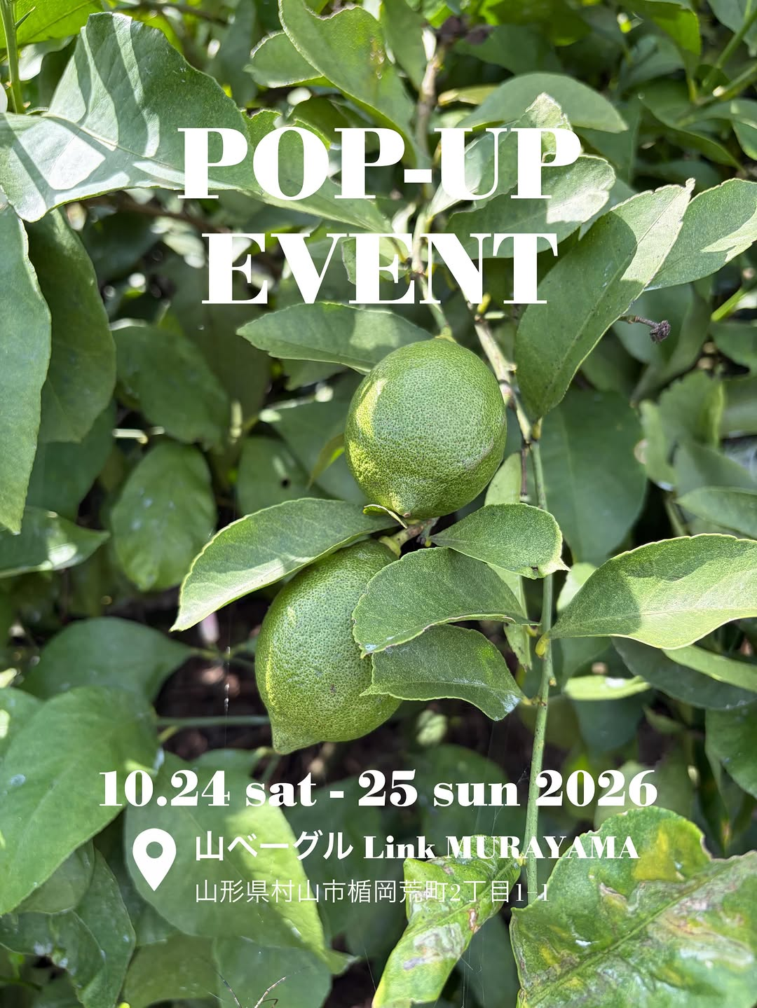 山ベーグル Link MURAYAMAでPOP-UP EVENT 2026を開催、10月24日と25日に山形県村山市で実施予定