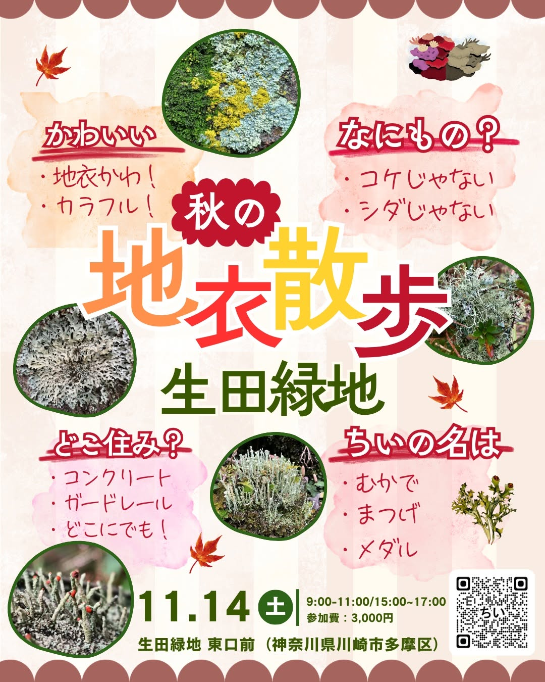 秋の地衣散歩in生田緑地2026を11月14日に開催、ルーペで身近な地衣類を観察