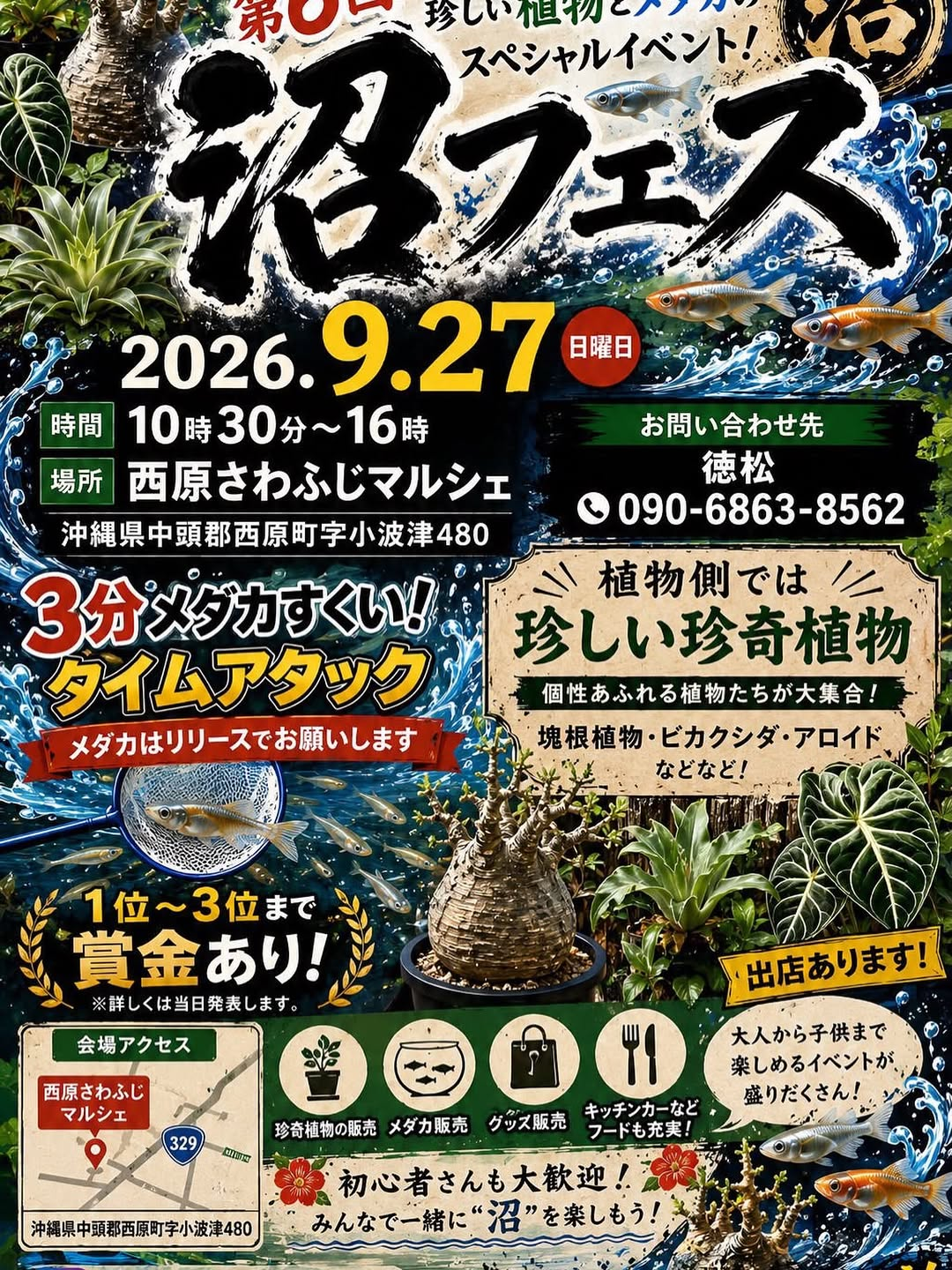第6回沼フェス2026が西原さわふじマルシェで開催、珍奇植物とメダカの販売やタイムアタックを実施