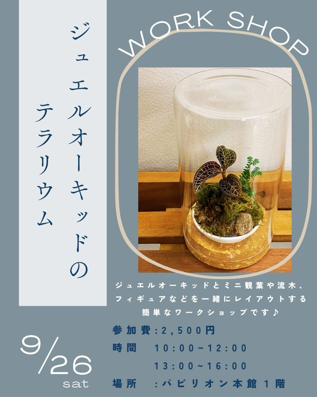 アカツカFFCパビリオンが2026年9月に植物ワークショップを開催、テラリウムと多肉植物寄せ植えを2日間実施