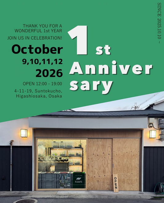 Nakayama Plantsが2026年に店舗オープン1周年イベントを開催、10月9日から4日間実施