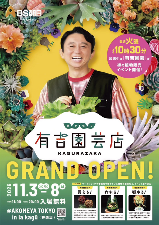 有吉園芸店GRANDOPEN2026を開催、番組放送100回記念で植物販売や作品展示とワークショップを実施