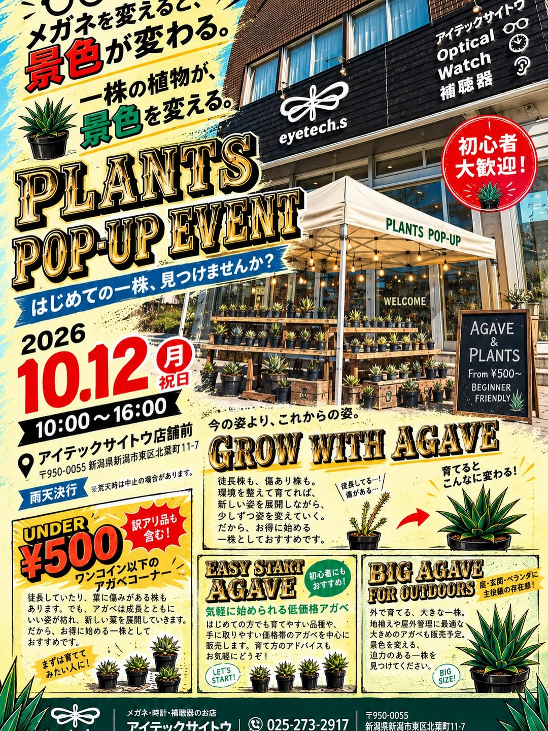 PLANTS POP-UPをアイテックサイトウ店舗前で開催 アガベ販売や子株収穫・植え替え体験を実施予定