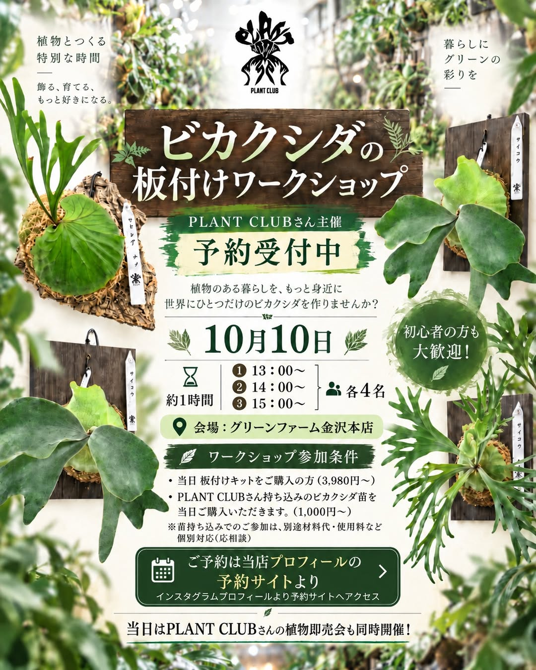 グリーンファーム金沢本店でPLANT CLUB主催「ビカクシダの板付けワークショップ」を10月10日開催