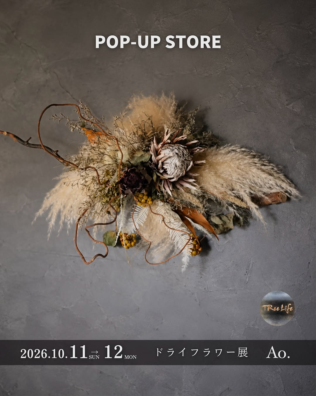 Ao. 5周年祭内「ドライフラワー＆ビカクシダ展」を人吉市のAo.HOSTEL & CAFE LOUNGEで開催